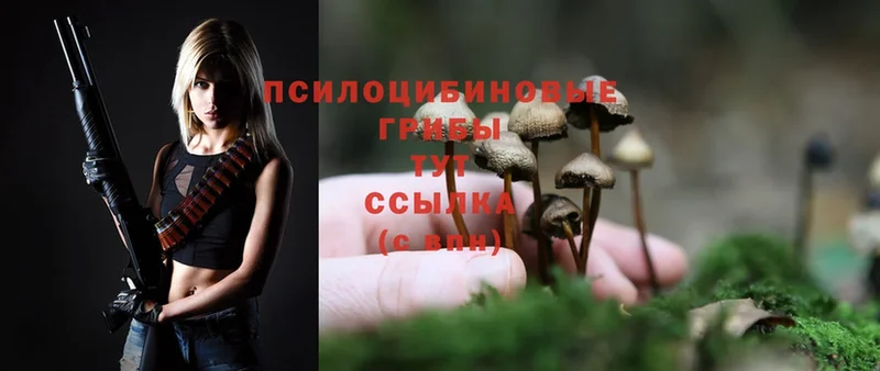 Псилоцибиновые грибы Cubensis  наркотики  OMG ONION  Прокопьевск 